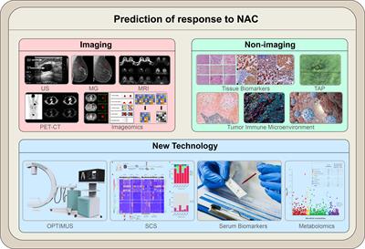 Neoadjuvant chemotherapy for breast cancer: an evaluation of its efficacy and research progress